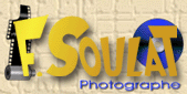 logopeti.gif